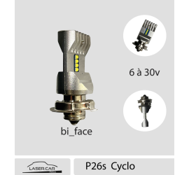 Ampoule à LED P26S