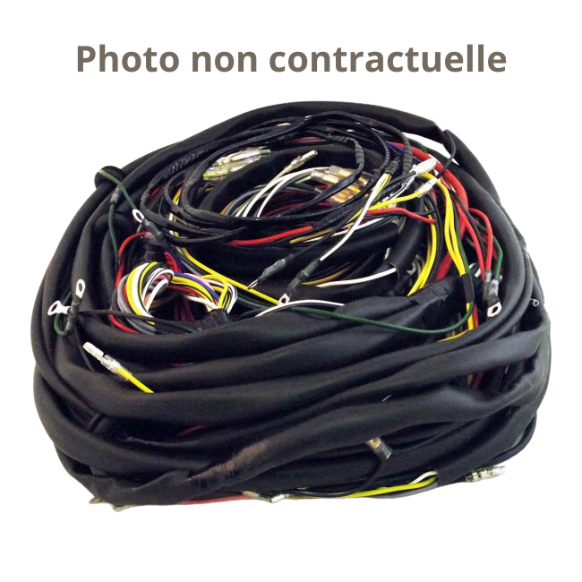 Faisceau électrique pour 4x4 Humber