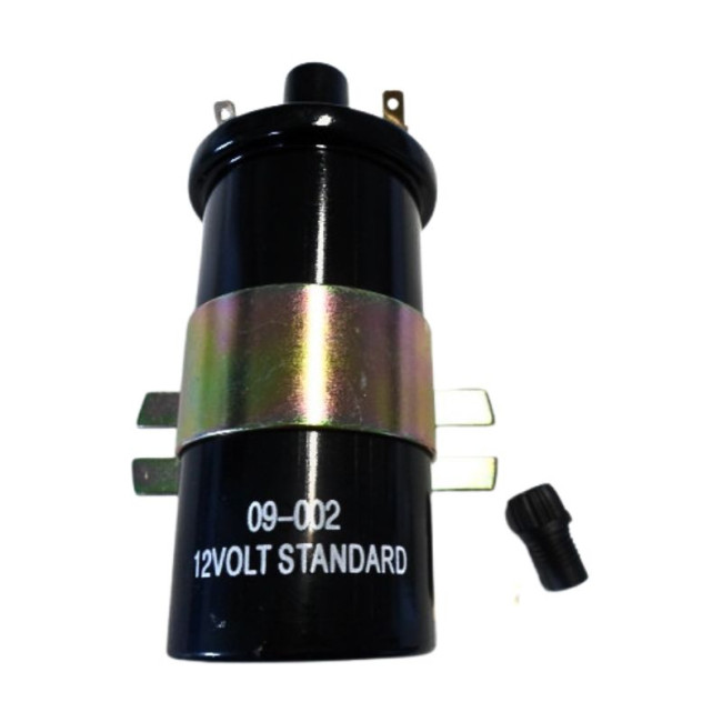 Bobine d'allumage standard 12V à vis