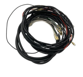 harness Alfa Romeo Giulia Spider 1600